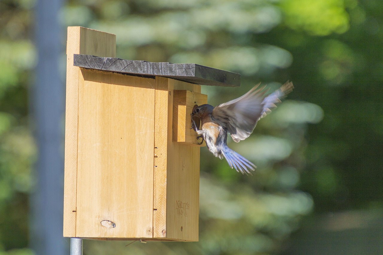 Ein Vogelhaus im Garten