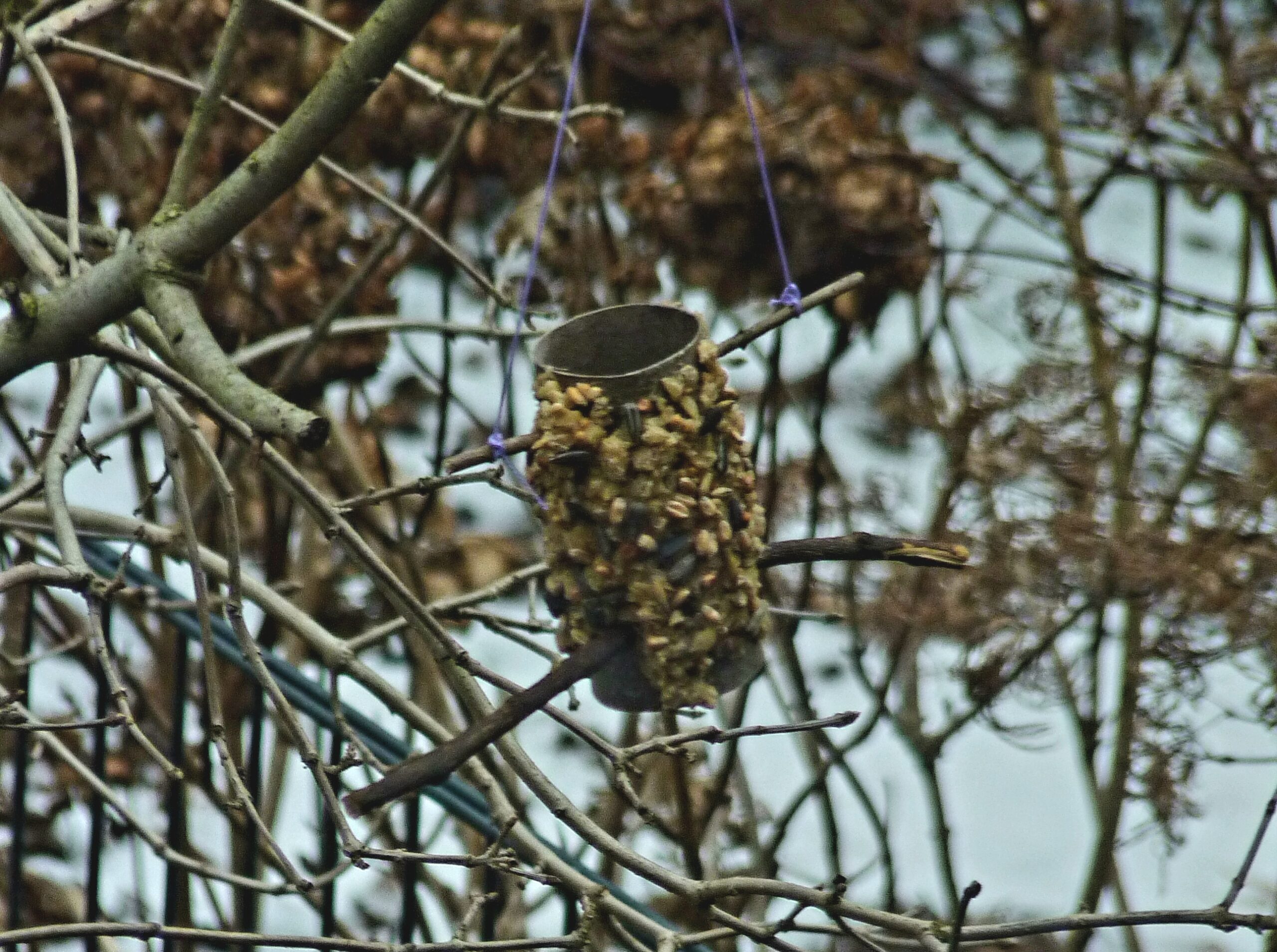 Futterstation für Vögel selber basteln
